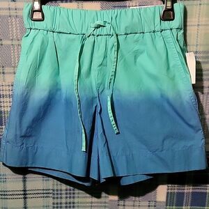 Aqua and Teal Ombre High Waist Women's Shorts